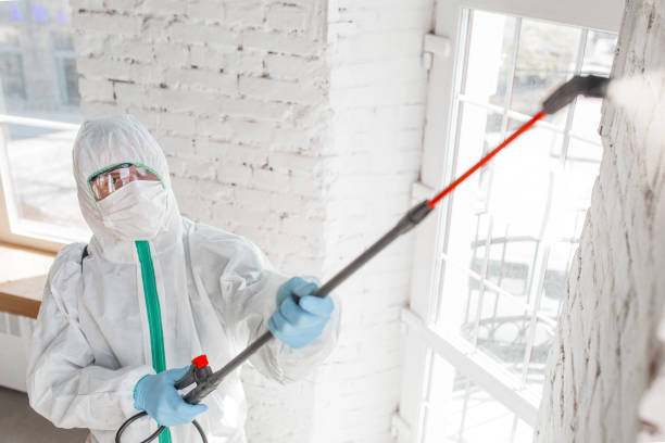 Best Health and Safety Mold Remediation in White Bear Lake, MN